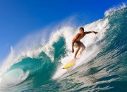 开云体育在线-新王登基，拉梅洛·鲍尔关键时刻一锤定音，黄蜂终结国王连胜