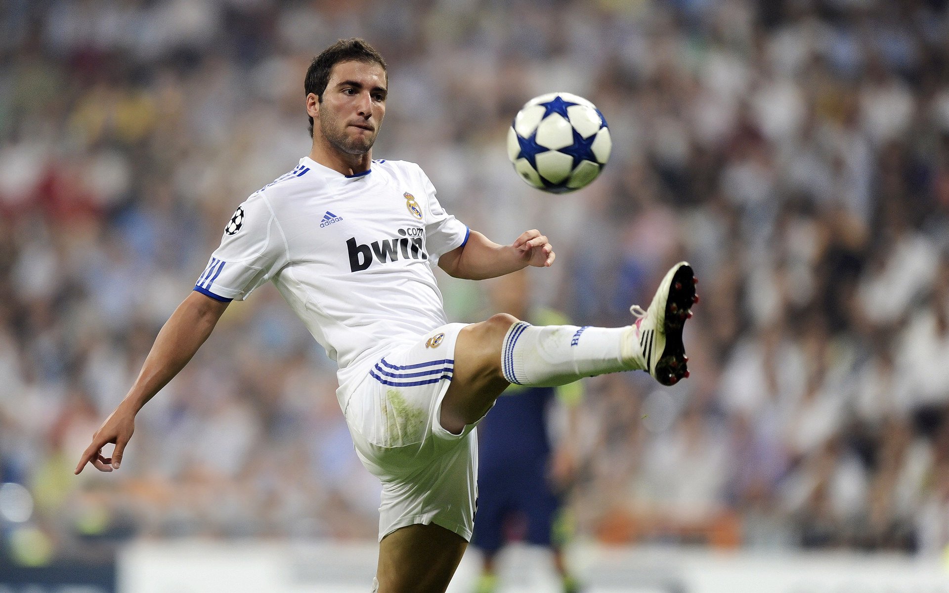 当唯一成为战术，威廉姆斯的孤注一掷与诺里斯的破局之道